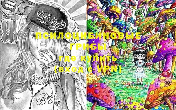 мяу мяу мука Няндома