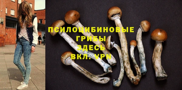 ПСИЛОЦИБИНОВЫЕ ГРИБЫ Нягань