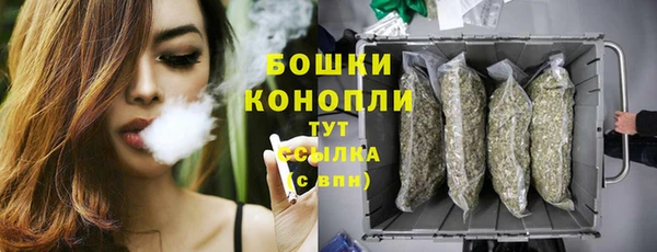 ПСИЛОЦИБИНОВЫЕ ГРИБЫ Нягань