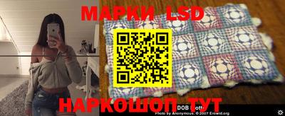 прущие крисы Нальчик