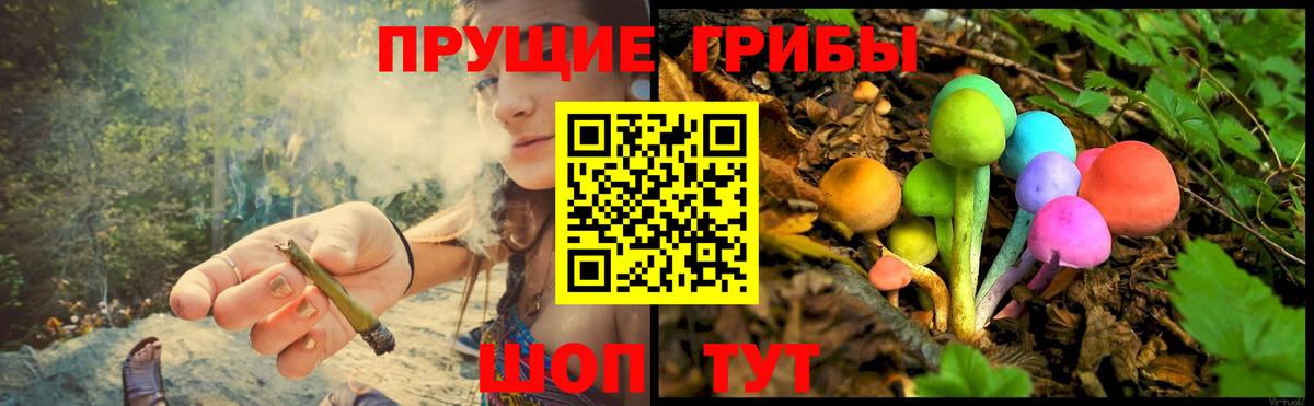 Псилоцибиновые грибы мухоморы Сызрань